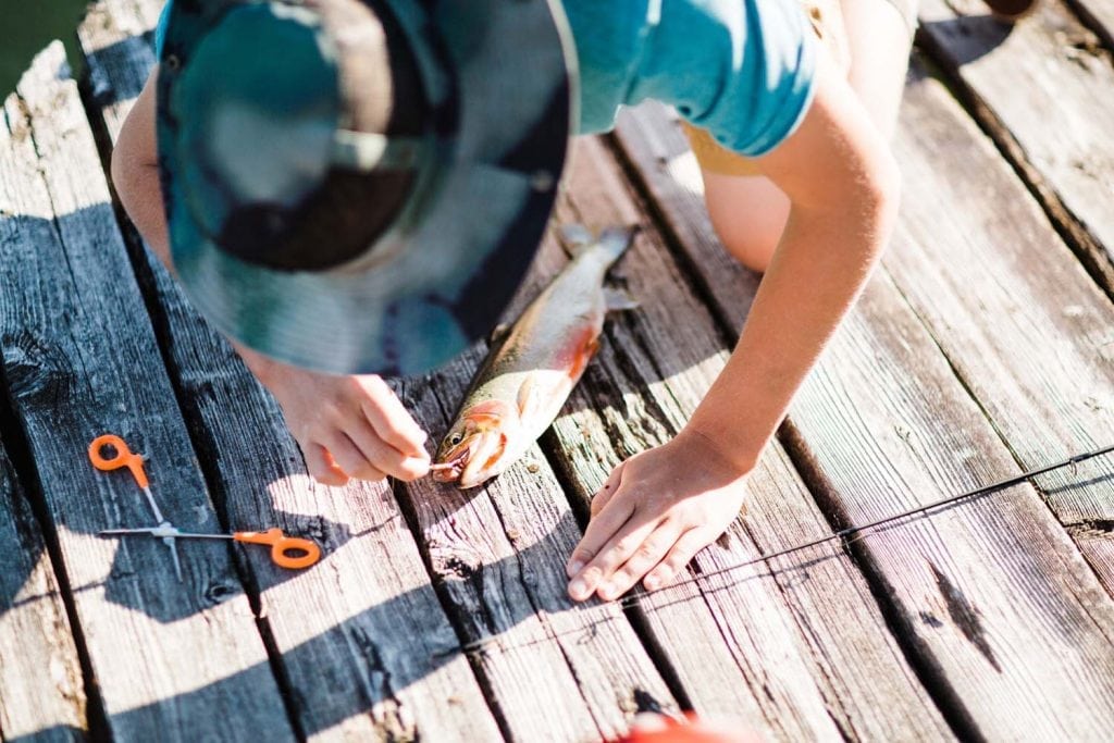 Catching & Cooking Trout