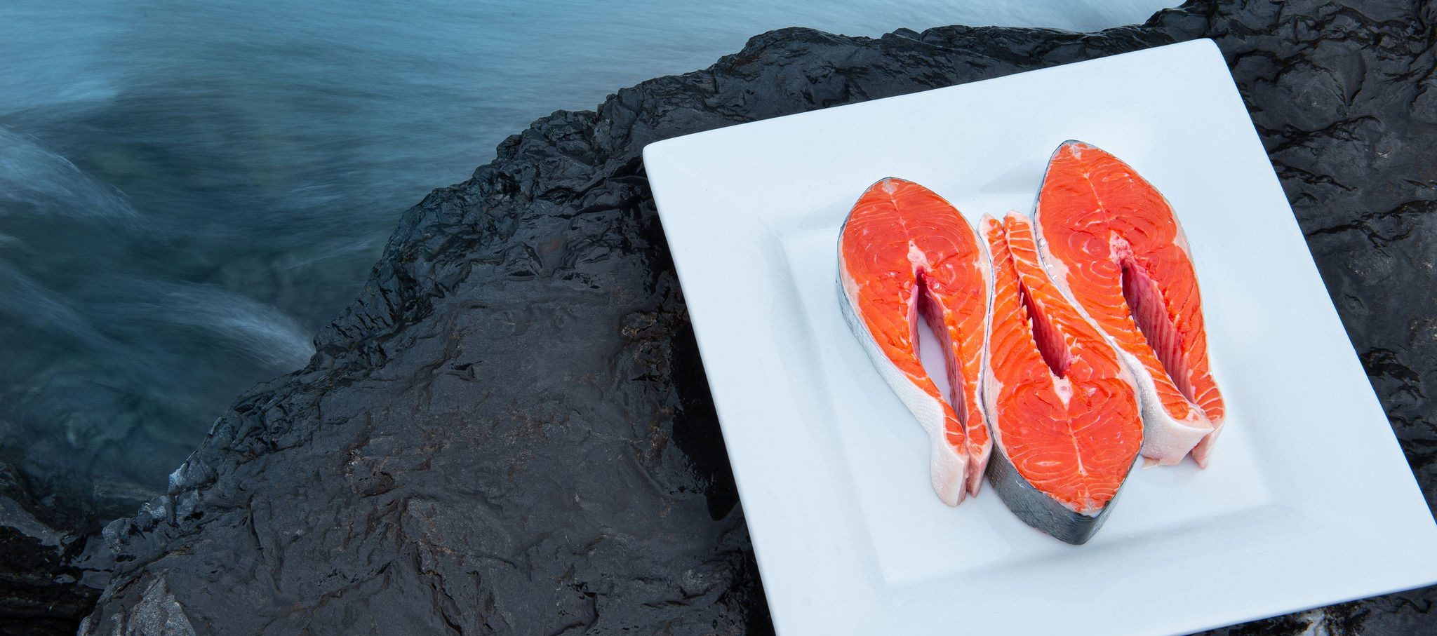 Image from CopperRiverSalmon.org