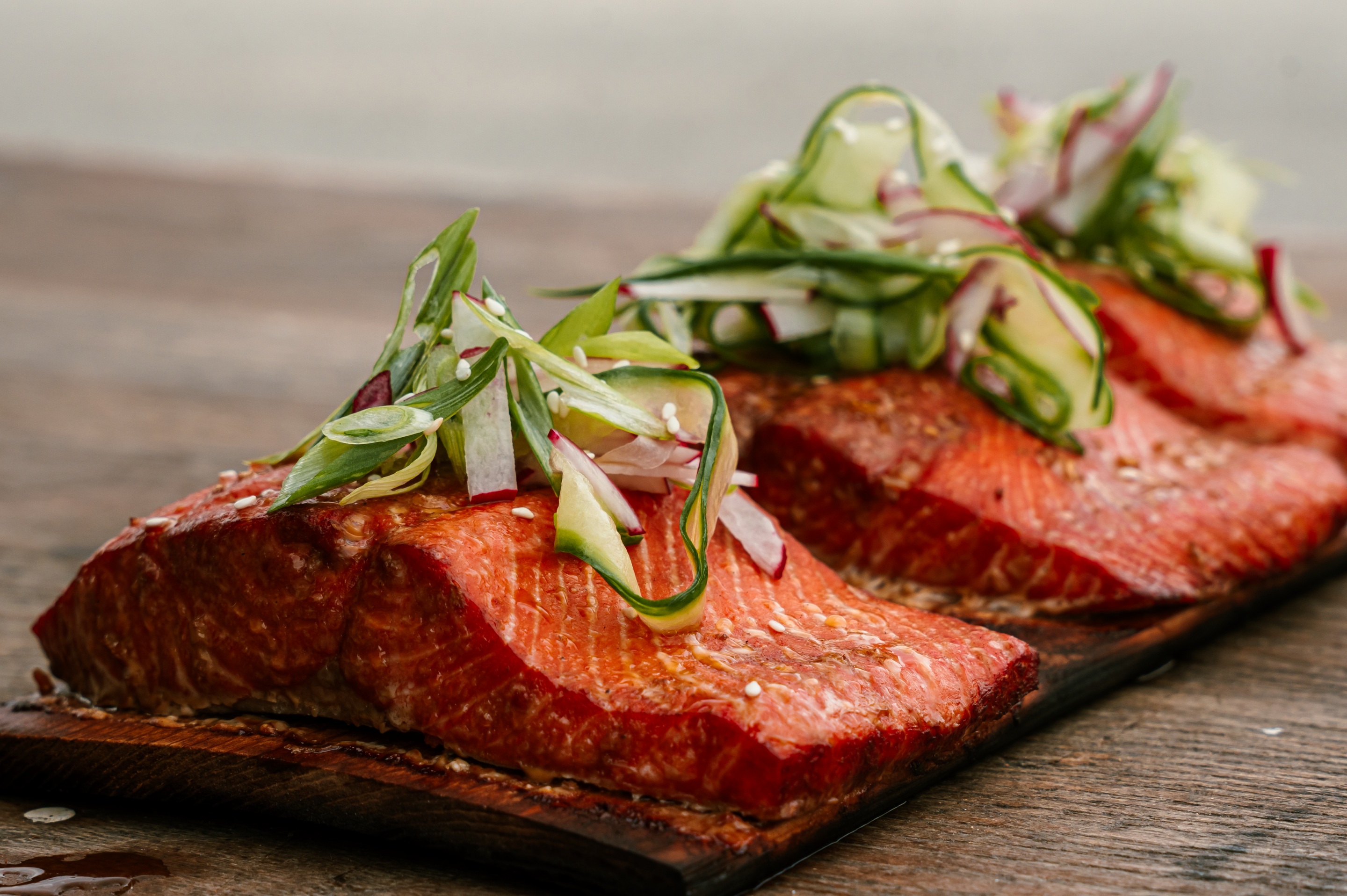 Coho Salmon for Summer and Fall